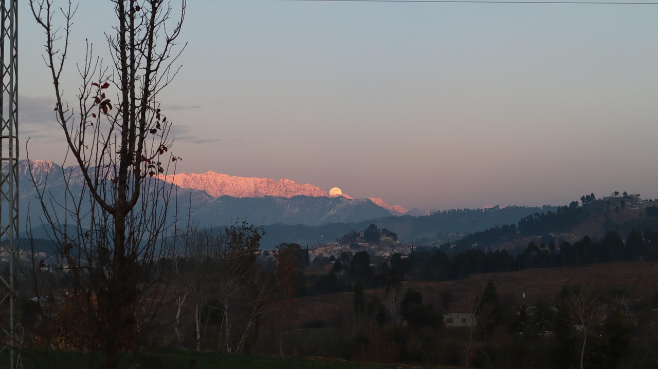 Hamburguesería Goiko