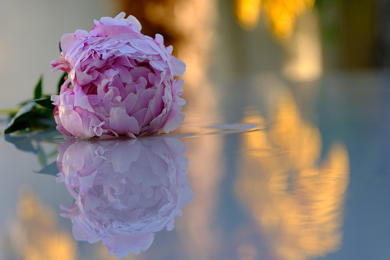 TGB - The Good Burger